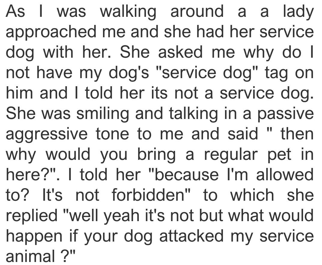 service-dog-3