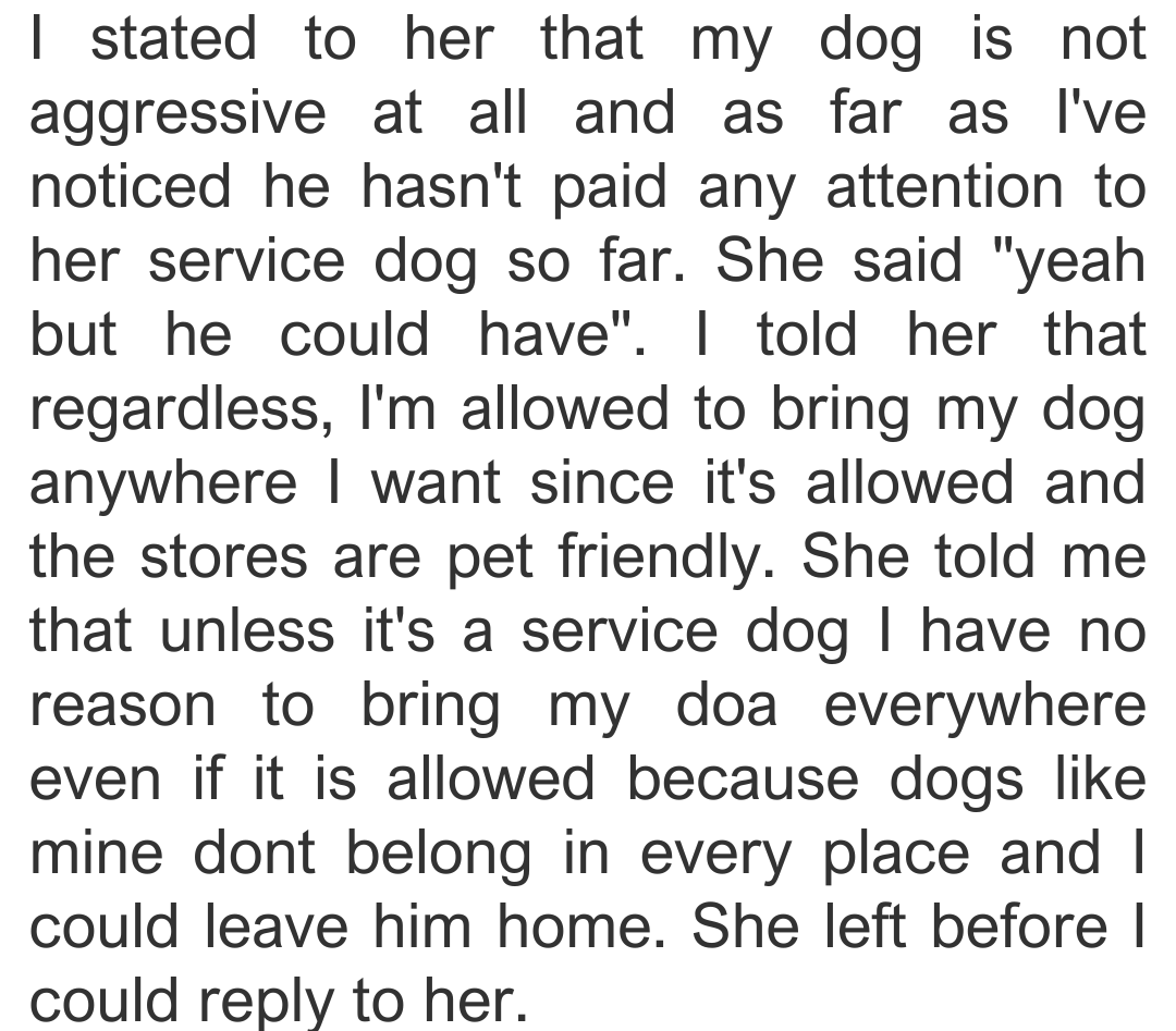 service-dog-4