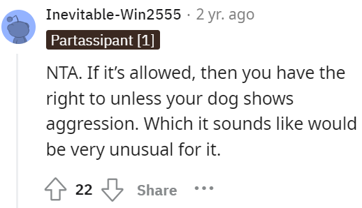 service-dog-9
