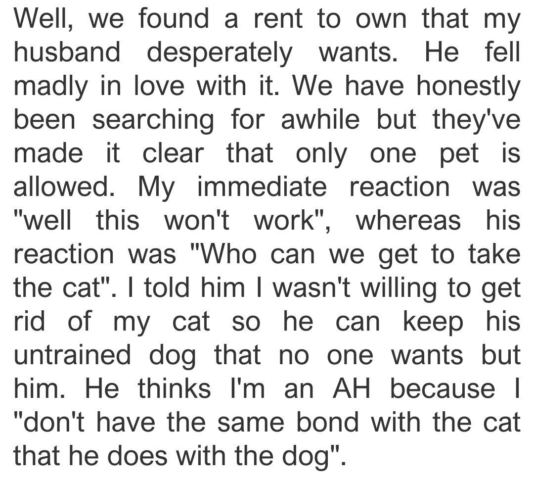 dog-cat-5--