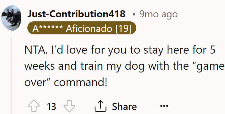 dog-friend-10-