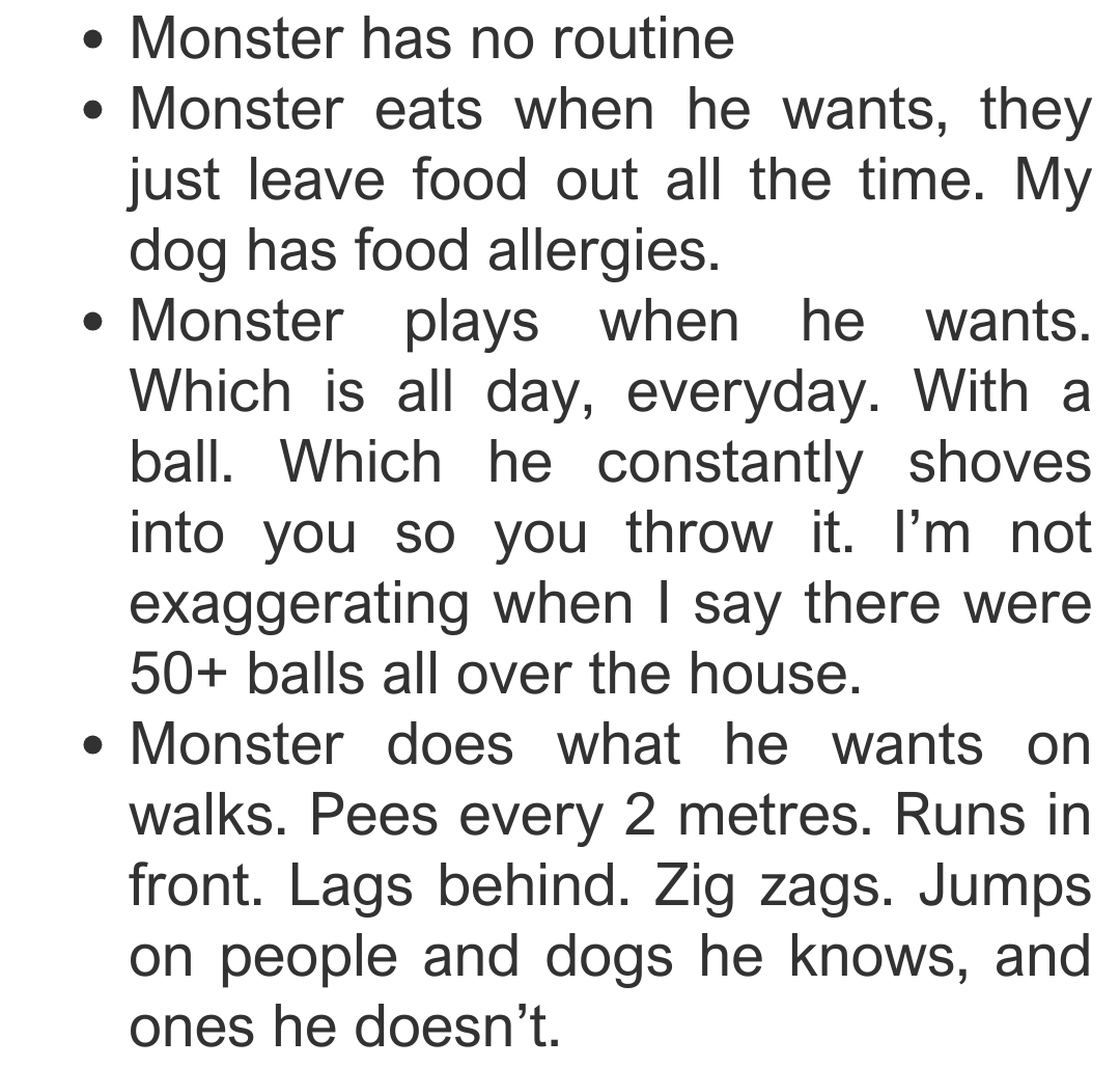 dog-friend-3-min