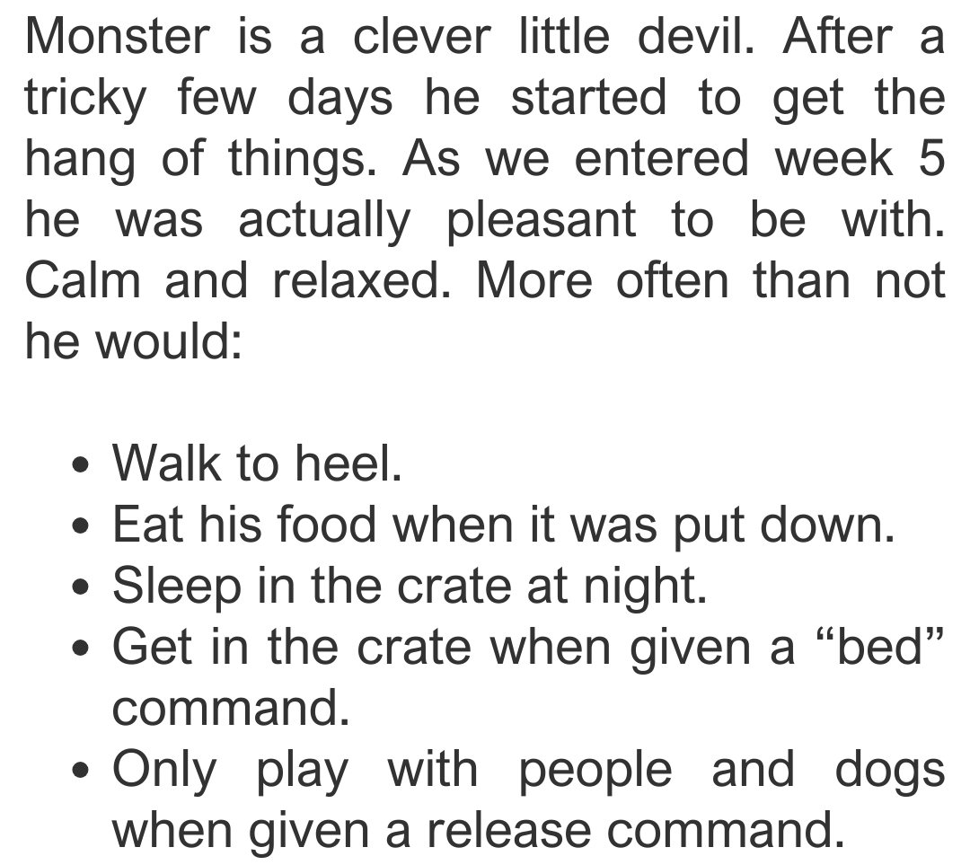 dog-friend-5-min