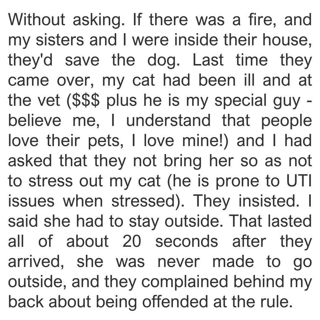 dog-parent-3