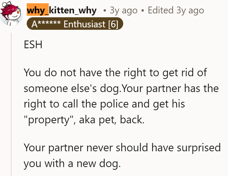 partner-dog-17-