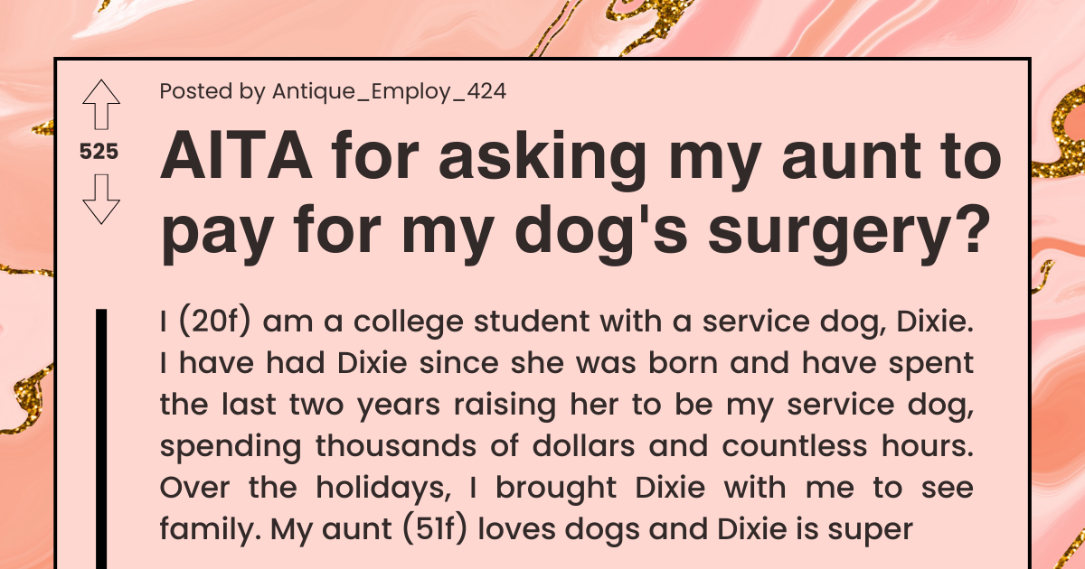 service-dog-