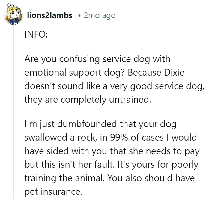service-dog-19-