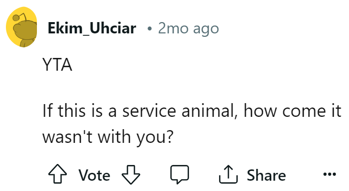 service-dog-9---