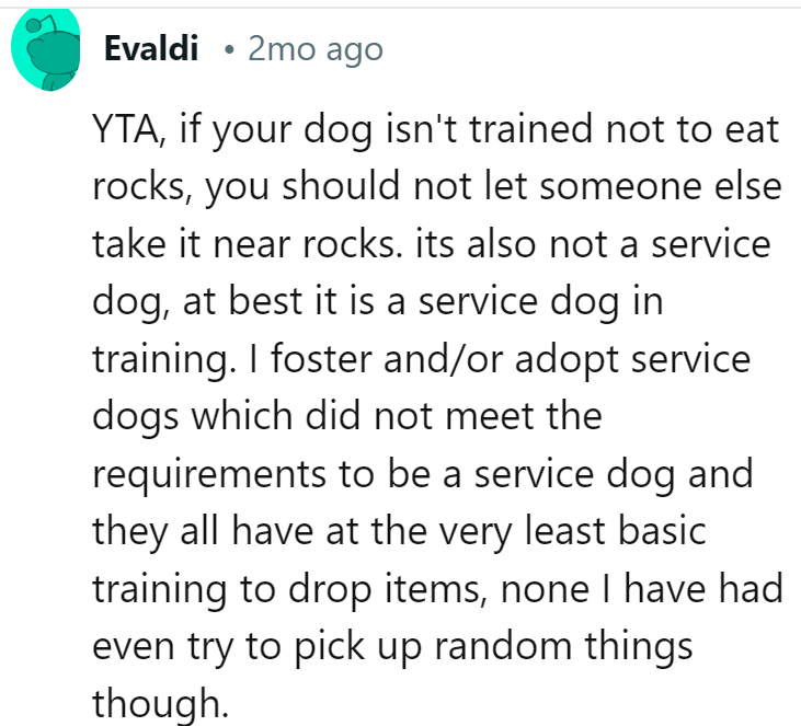 service-dog14-