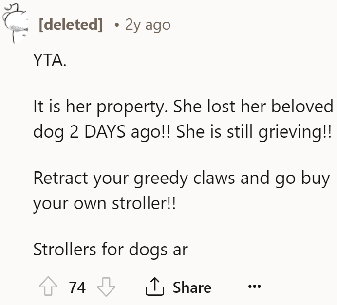 sister-dog-14-