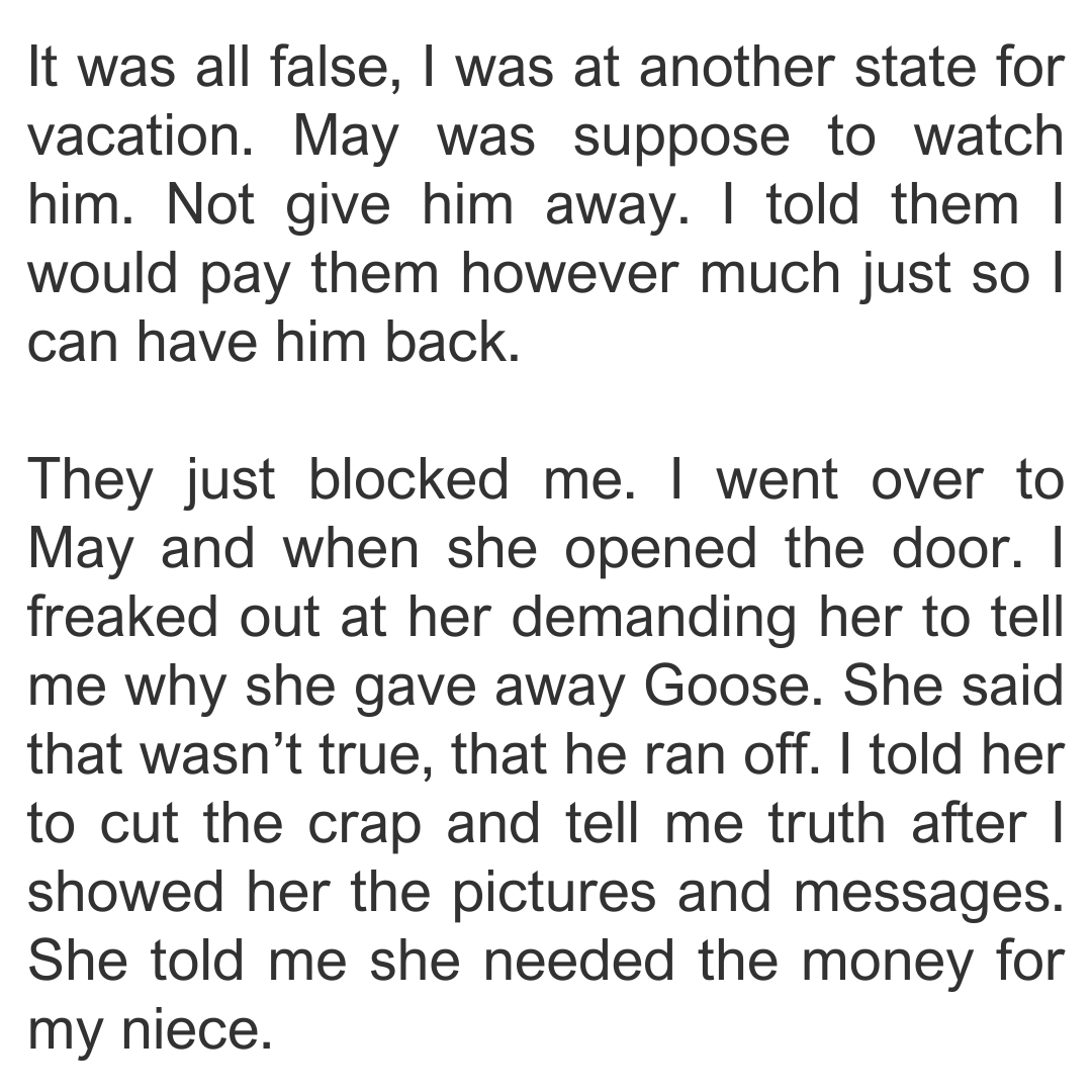 sister-dog-6