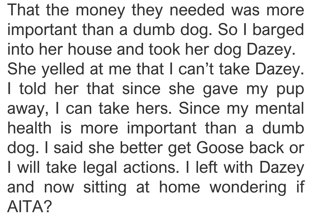 sister-dog-7