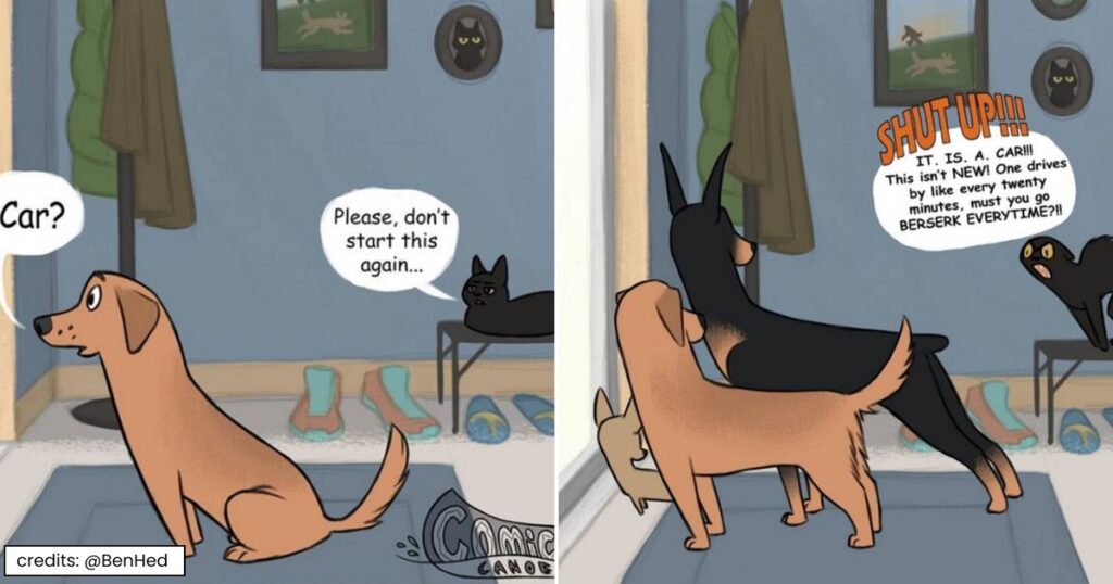 cat comics